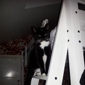 Lucy Atherton's photo