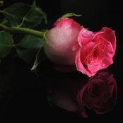 Mary Durham's photo