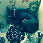 Donna Sigvart's photo