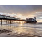 Sarah Roberts's photo