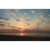 Jerica Ford's photo