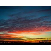 Roxana Mandeal's photo