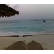 Tasneem Bayat's photo