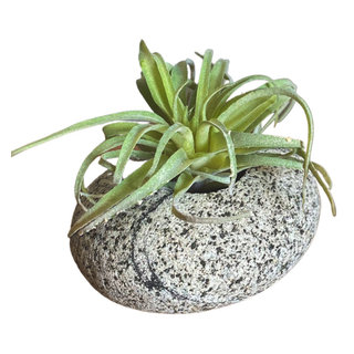 https://st.hzcdn.com/fimgs/6c8100af020fd90b_0047-w320-h320-b1-p10--rustic-outdoor-pots-and-planters.jpg