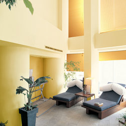 Product Pictures - Cellular Shades