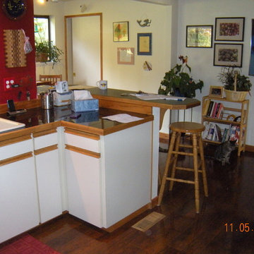 Moderate kitchen remodel