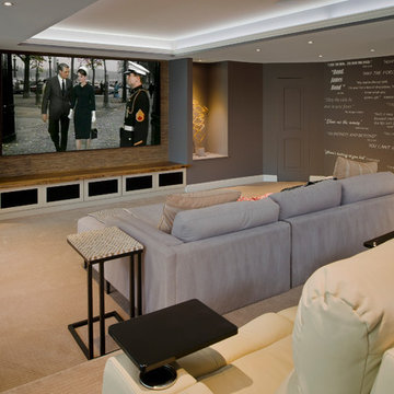 Basement Remodel