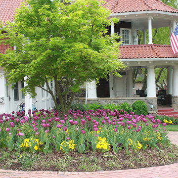 Cleveland Park Dream Garden
