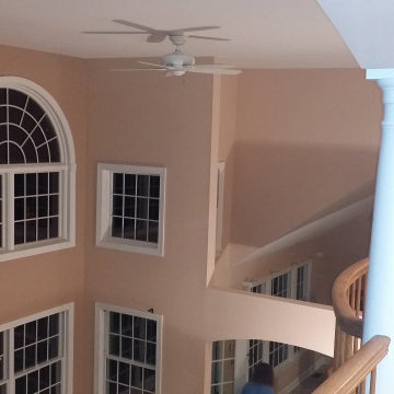 Top Notch Painting