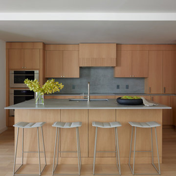 Modern Kitchen Elegance