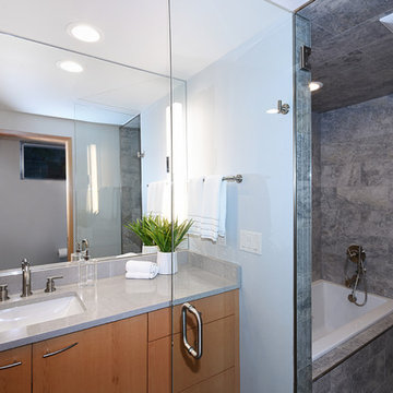 (Remodel - Custom) Aging-In-Place Master Suite Conversion