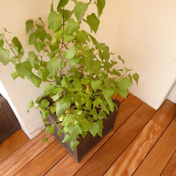 Balcon / Terrasse en bois exotique
