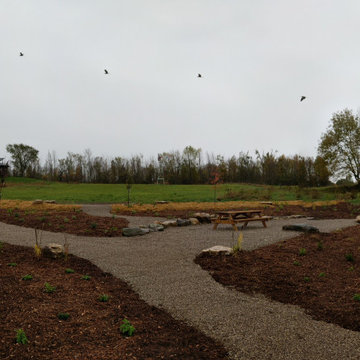 Pond Landscape Transformation