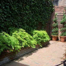 Beach House Patio