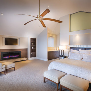 Napoleon Fireplaces