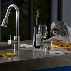 Danze Amalfi Single Handle Pull-Down Kitchen Faucet - Kitchen Faucets