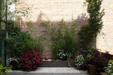 Inspiration for a contemporary landscaping in New York.