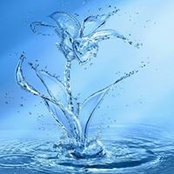 Omar Assaf's photo