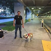 Antonio Gouveia's photo