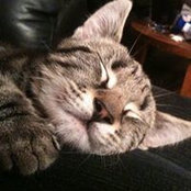 Sharon McSharry's photo