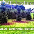 Foto de perfil de Aloe Jardinería
