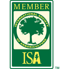 Torrison Tree Service
