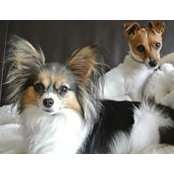 Joyce Larson's photo