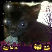 Mary Benjamin's photo