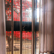 Reehan Qureshis foto