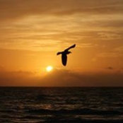 Craig Uhle's photo
