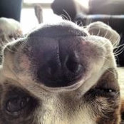 Erik Hernandez's photo