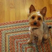 Stephanie Meyers's photo