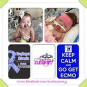 Anne Barna's photo