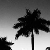Cynthia Mohr's photo