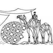 Fatma Salim's photo
