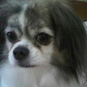 Nora Ong's photo
