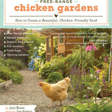 chickens