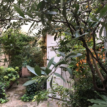 Cour parisienne ombragée : un jardin de feuillages