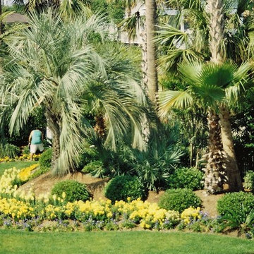 Complete Curb Appeal Revamp