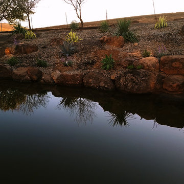 Natural Swimming Pool