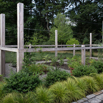 Vegetable Garden