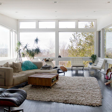My Houzz: A Classic Midcentury Home Wrapped in Windows