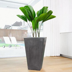 Sorrento A - Products