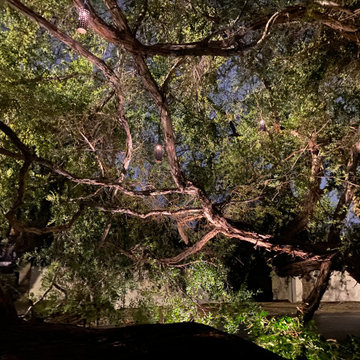 Berkley Hills lighting project