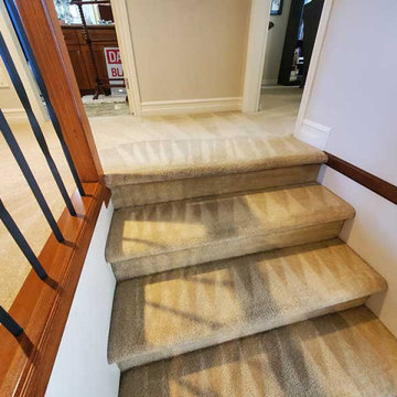 Carpet Cleaning a House With Pet Hair and Damaged Carpets Located in Maple Ridge
