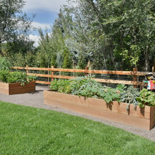 My Terrace Garden