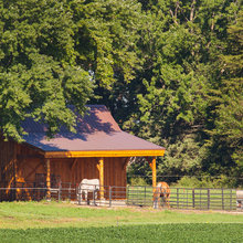 horse barn