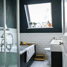 basement bathroom
