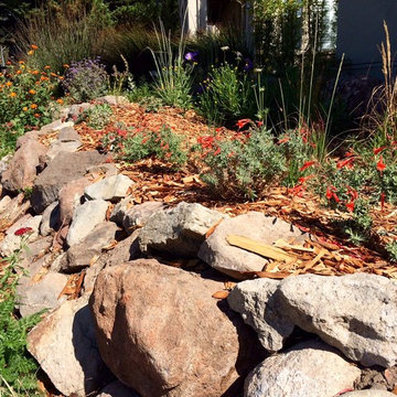 Sustainable Habitat Garden