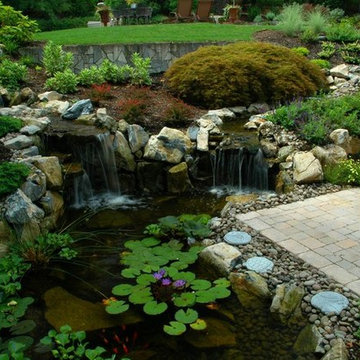 Pond and Patios
